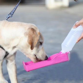 Gambar 350ml Portable Pet Dog Cat Travel Water Bowl Bottle Dispenser Feeder Drinking Fountain   intl