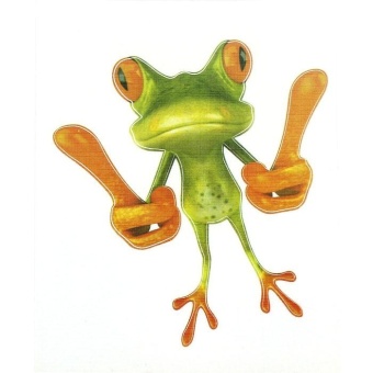 Gambar 3D Belaud Frog Funny Car Stickers Truck Window Decal GraphicsSticker   intl