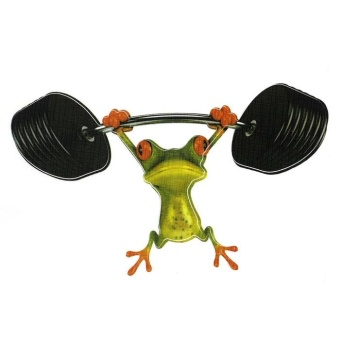 Gambar 3D Cute Frog Funny Car Stickers Truck Graphics Sticker Window Decal  intl