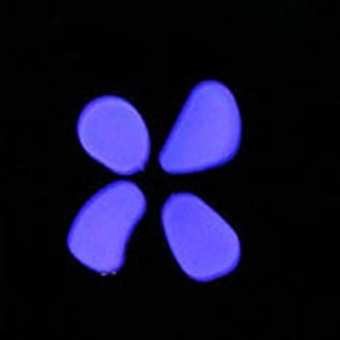 Gambar 50 Pcs Glow In The Dark Stones Pebbles Rock For FISH TANK AQUARIUMPP   intl