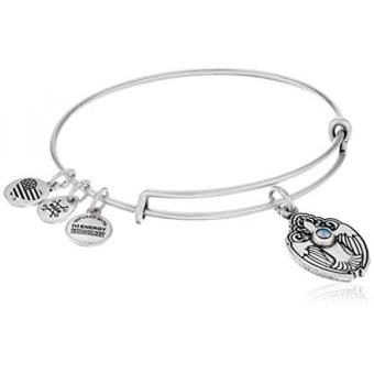 Gambar Alex and Ani Crystal Dove Rafaelian Silver Bangle Bracelet