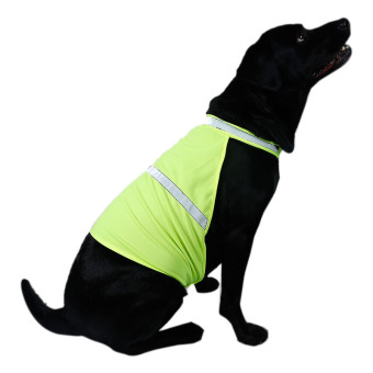 Gambar Amart Fluorescent Security Dog Reflective Vest Safety Luminous Waterproof Pet Clothing(Yellow S)   intl