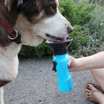 Gambar Auto DogMug Puppy Travel Sport Outdoor Free Feeding Bottle   intl