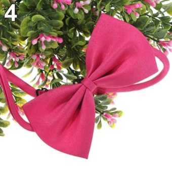 Gambar Bluelans(R) Cute Solid Color Adjustable Cat Bowtie Pet Dog Collar Bowknot Necktie Bow Tie (Rose)   intl