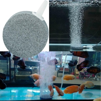 Gambar Bubble Stone Fish Tank Pump Hydroponic Oxygen Plate Mini AquariumAccessories C   intl