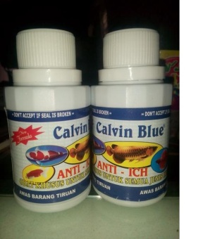 Gambar Calvin Blue buat ikan