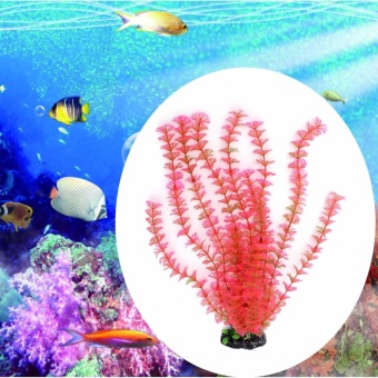 Gambar Fish tank aquarium decorative landscaping pink mesh leafenvironmental simulation plants about 40cm high   intl
