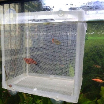 Gambar For Fish Safe Hatchery Isolation 1 Pcs Aquarium Fine Net Box S SizeBreeding   intl