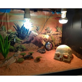 Gambar Halloween Aquarium Decorative Resin Skull Crawler Dragon LizardsDecoration   intl