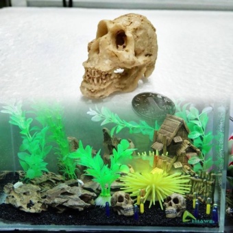 Gambar Halloween Aquarium Decorative Resin Skull Crawler Dragon LizardsDecoration   intl