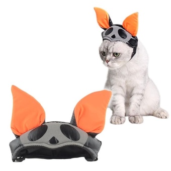 Gambar Halloween Pet Ornament Pet Accessory Cat Dog Sponge Filled Hat BatHat Pumpkin Hat   intl