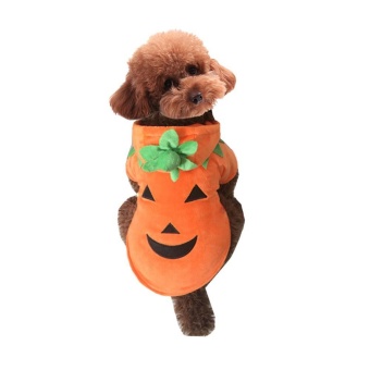 Gambar hazobau Dog Pumpkin Costume With Hood For Small Dogs.   intl