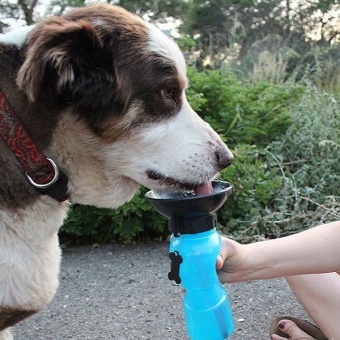 Gambar Hot 500ml Dog Mug Auto Puppy Dog Pet Water Bottle Walking HikingTravel Gift New   intl