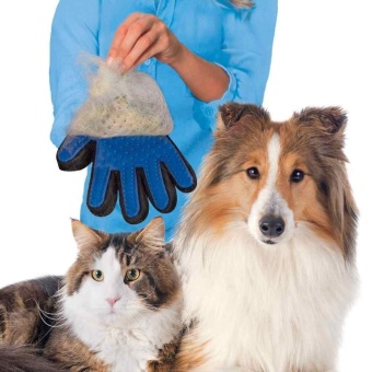 Gambar Hot Cleaning Brush Magic Glove Gentle Efficient Pet MassageGrooming Groomer   intl