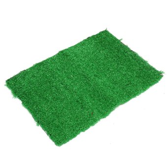 Gambar L Size Dog Cat Toilet Mat Indoor Potty Trainer Artificial Grass Turf Patch Pad   intl