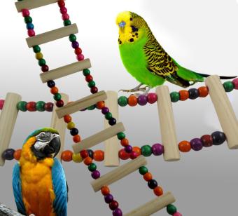 Gambar lanyasy Parrots Bird Toy Flexible Ladder Parakeets Toys,4 Ladders