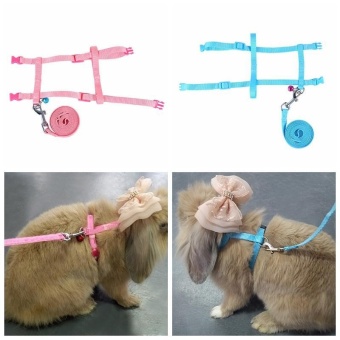Gambar leegoal Pet Rabbit Harness Leash For Soft Nylon,Running Walking Harness Leash With Safe Bell For Guinea Pigs,Pet Pigs,Ferret, Cat, Rat And Other Small Animals   intl