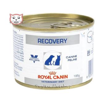 jual royal canin babycat milk untuk anak kucing order belanja jual royal canin babycat milk untuk anak kucing order belanja