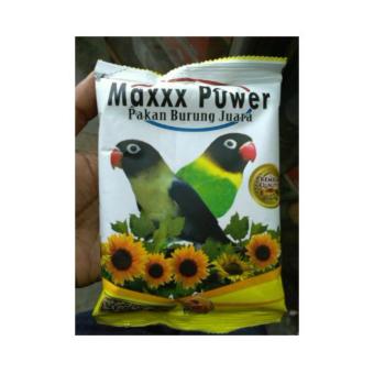 Gambar Maxxx Power Lovebird