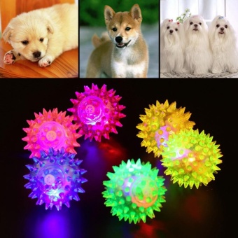 Gambar Moonar Funny Small Size Luminous Elastic Ball Sound Production Pets Ball Pets Toy   intl