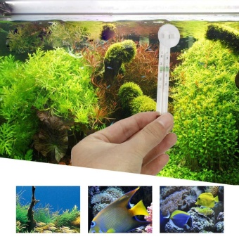 Gambar New Glass Meter Aquarium Fish Tank Water Temperature ThermometerSuction Cup   intl