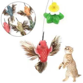 Gambar Pet Electric Rotating Bird Flower Colorful Cat Teaser Wire Interactive Toys   intl
