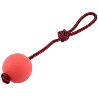 Gambar Solid Rubber Pet Puppy Dog Chew Training Ball Toy with Rope   intl