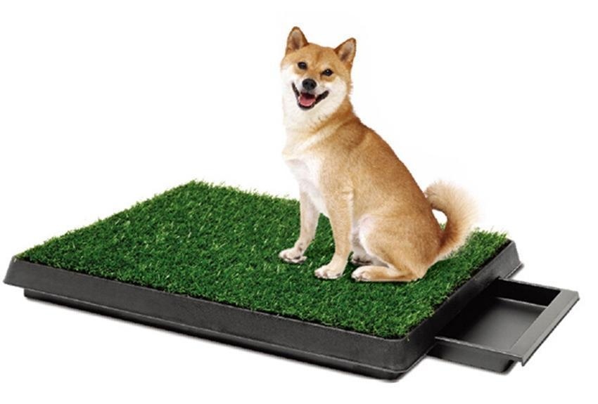 Gambar WONDERSHOP New Square 3 Layer Pet Training Grass Pad Zoom Park Patch Mat Indoor 25inch x 20inch   intl