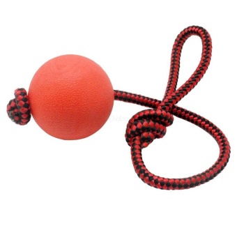 Gambar WONDERSHOP Pet Rubber Chew Toy Ball With Rope Handle DogInteractive Ball Thrower for Pets   intl